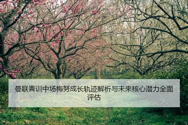 曼联青训中场梅努成长轨迹解析与未来核心潜力全面评估