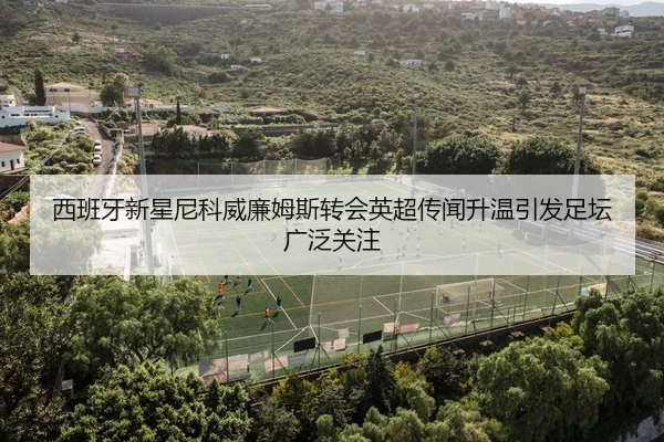 xi-ban-ya-xin-xing-ni-ke-wei-lian-mu-si-zhuan-hui-ying-chao-chuan-wen-sheng-wen-yin-fa-zu-tan-guang-fan-guan-zhu-2-592.jpg