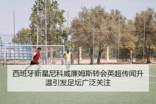 西班牙新星尼科威廉姆斯转会英超传闻升温引发足坛广泛关注