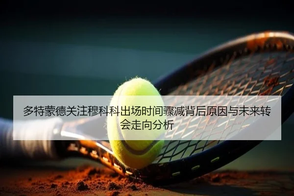 多特蒙德关注穆科科出场时间骤减背后原因与未来转会走向分析（leyu）